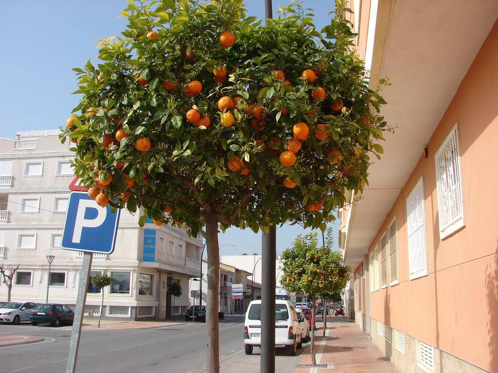 Apartamento Formentera Appartamento Formentera de Segura Esterno foto